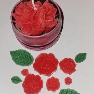 Claveles decorativos